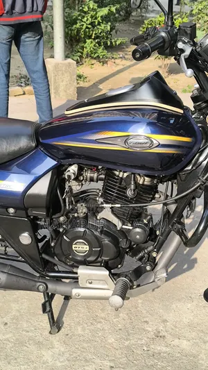Bajaj Avenger 150 Street 2017 Blue