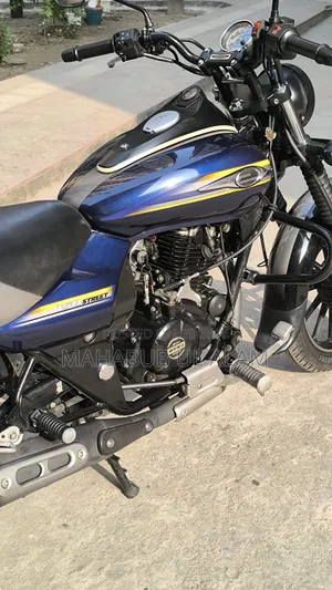 Bajaj Avenger 150 Street 2017 Blue