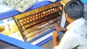 Incubator Machine