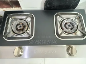 Auto Gas Stove