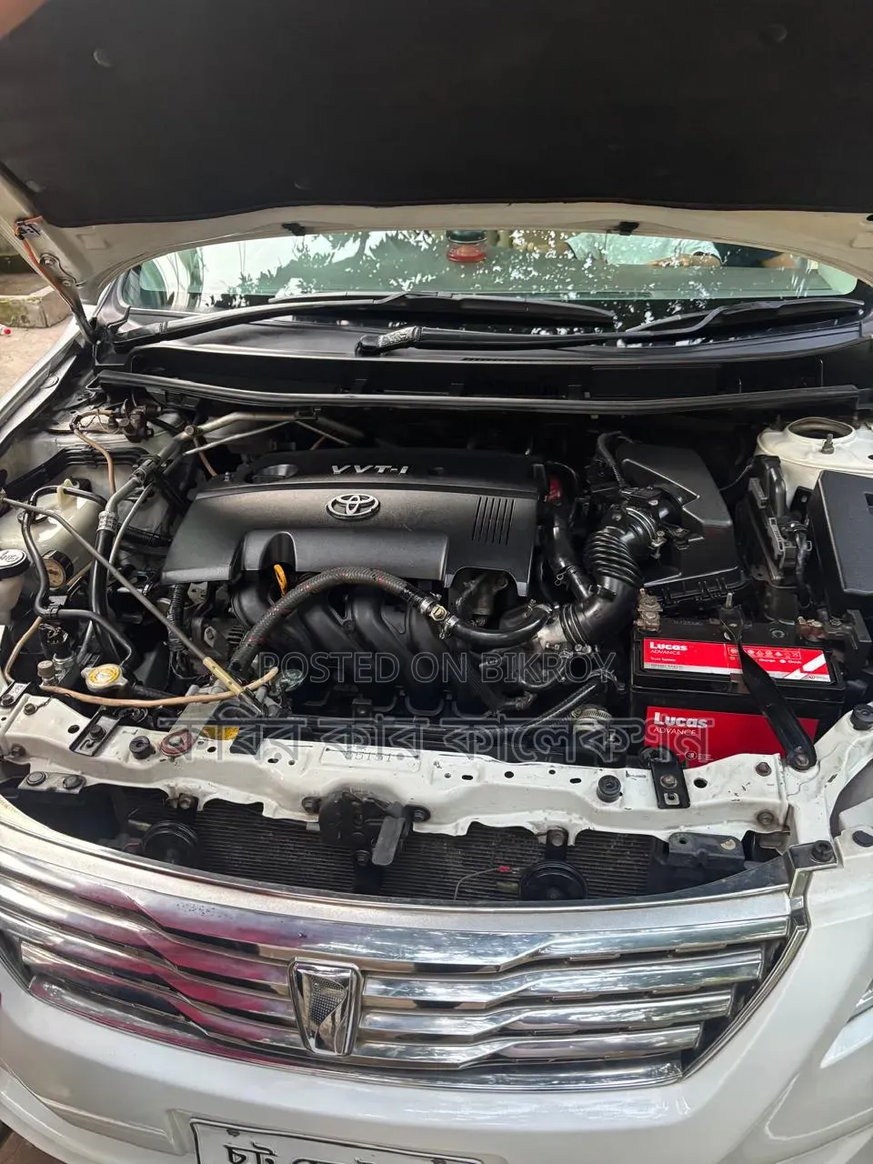 Toyota Premio 2009 White