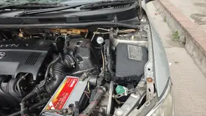 Toyota Axio 2009 Silver