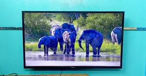 Samsung 43" Inch Smart Support Ultra UHD Resolution TV Like New