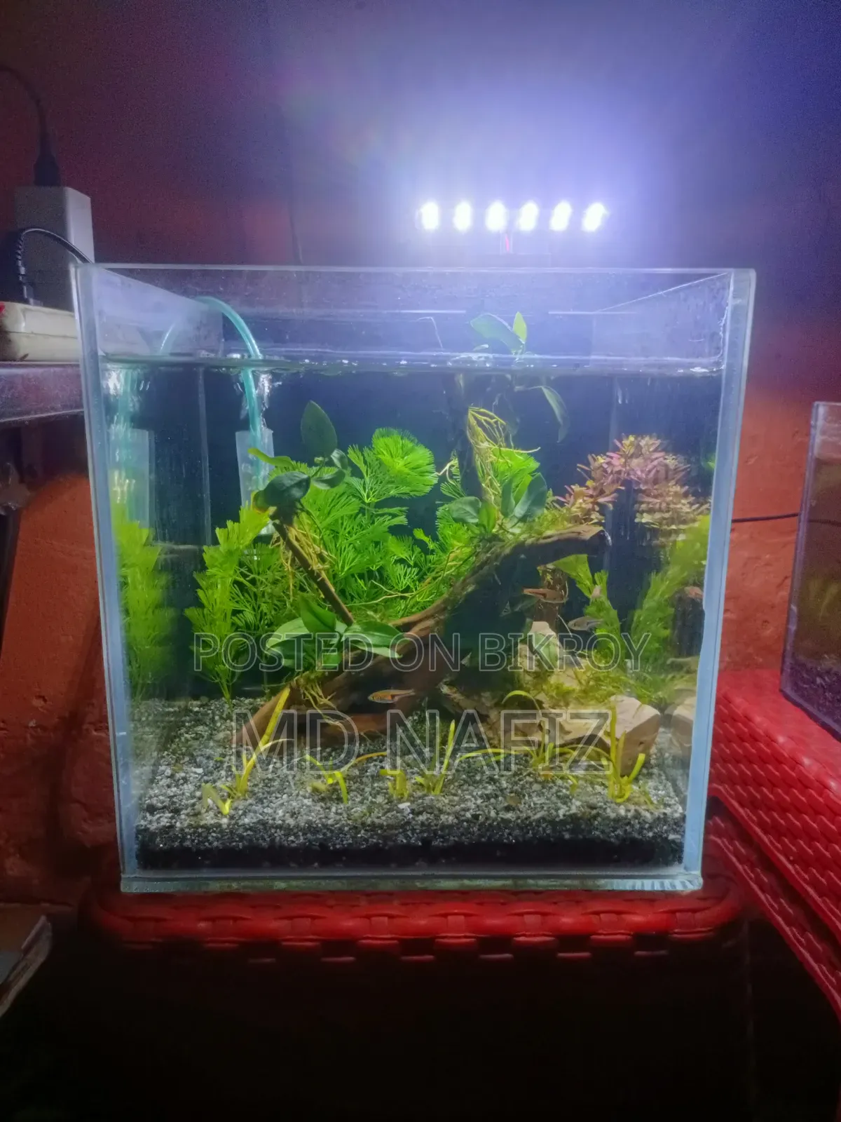 Aquarium Full Setup