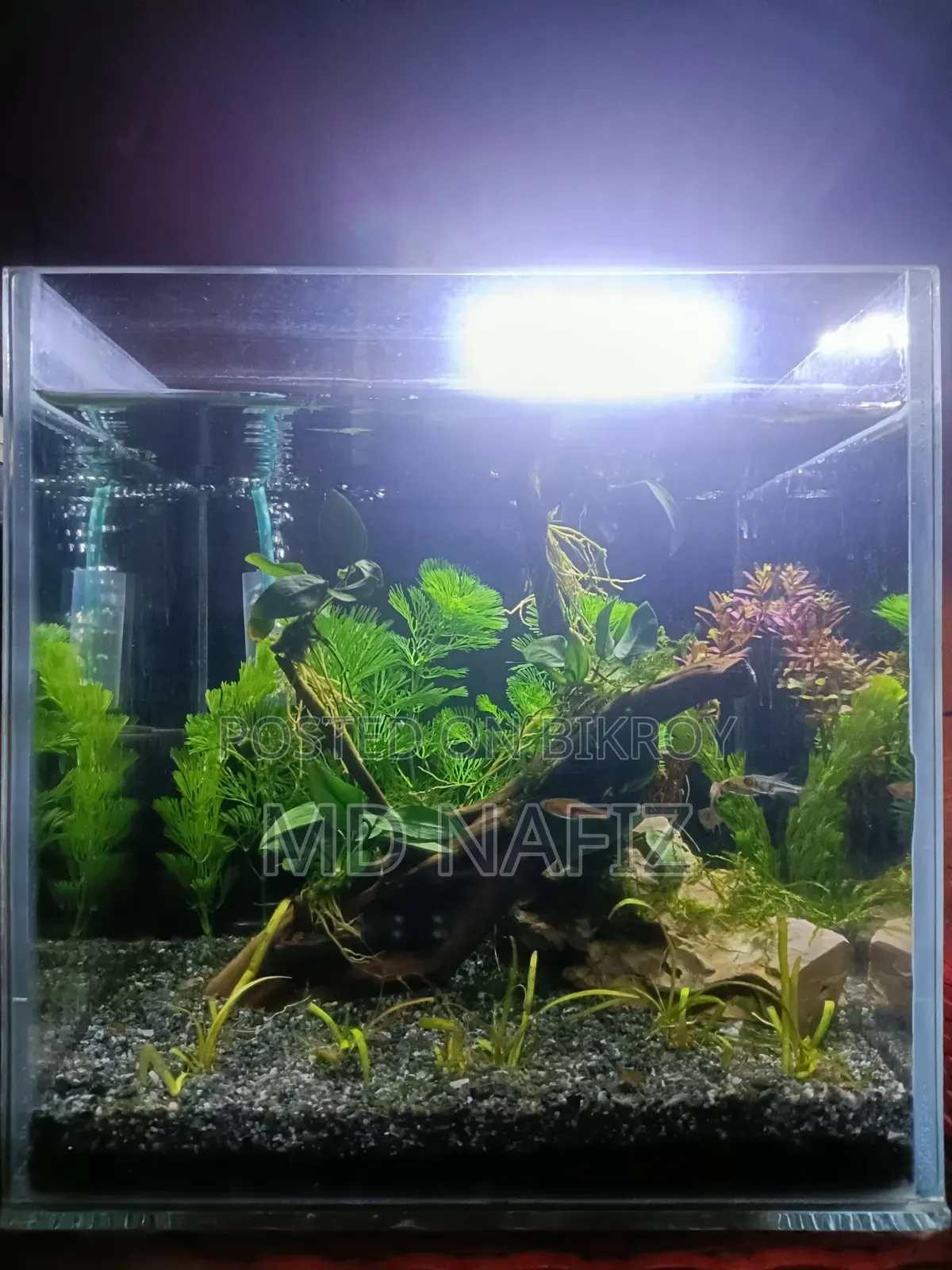 Aquarium Full Setup