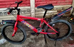 Prince 20 Size Baby Cycle
