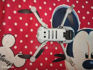Dji Mini 2