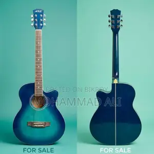 New Guitar