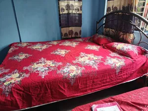Family Bed