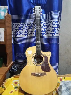 Mantic Gt-1gc Acoustic Guitar
