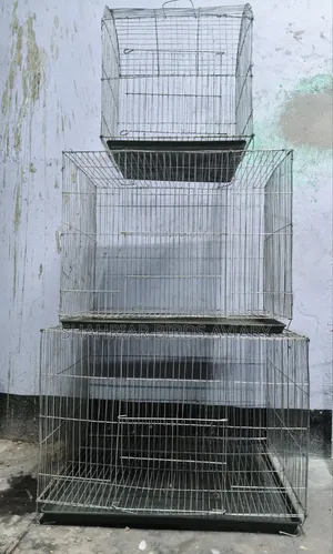 পাখির খাঁচা (সম্পূর্ণ নতুন)