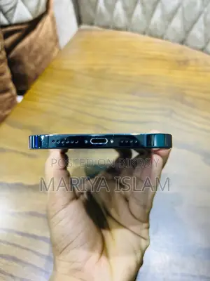 অ্যাপল আইফোন ১২ প্রো ম্যাক্স ১২৮ জিবি ব্লু