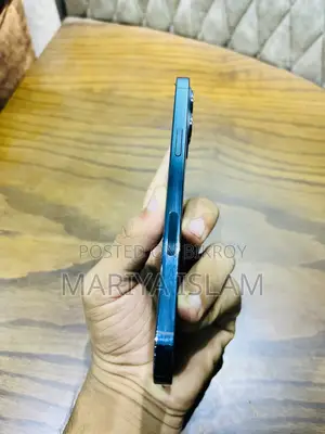 অ্যাপল আইফোন ১২ প্রো ম্যাক্স ১২৮ জিবি ব্লু