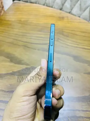অ্যাপল আইফোন ১২ প্রো ম্যাক্স ১২৮ জিবি ব্লু