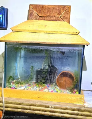 ফুল সেট-আপ অ্যাকোয়ারিয়াম