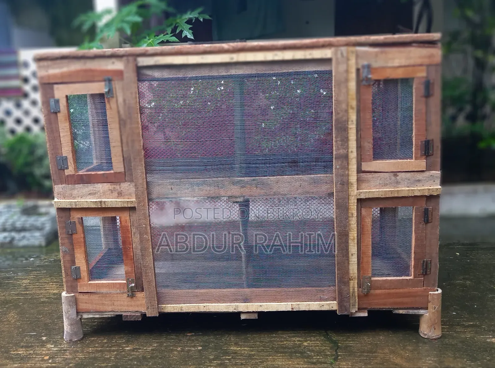 Cage for Quail, Rooster, and Birds