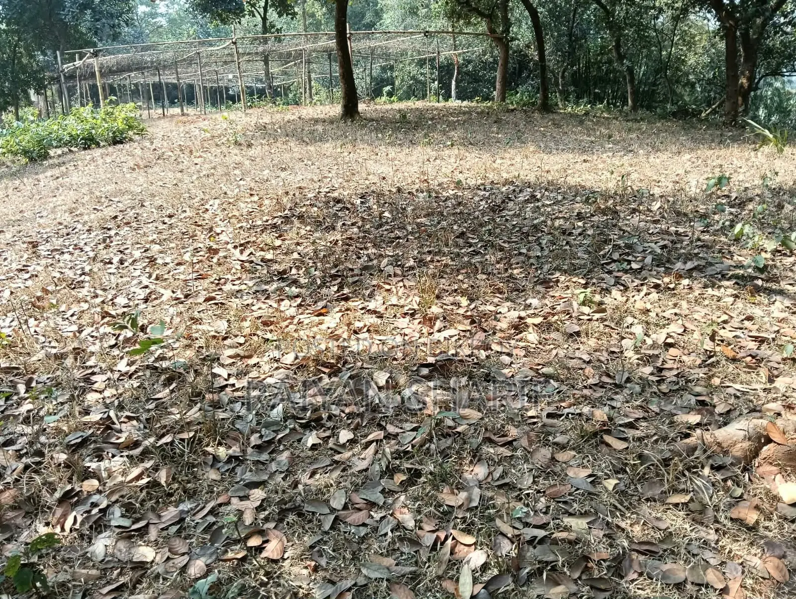 পূর্বাচল মেরিন সিটি জমি