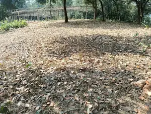 পূর্বাচল মেরিন সিটি জমি
