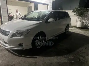 Toyota Corolla Fielder 2008 White