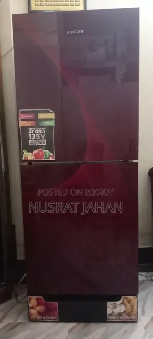 Singer Fridge
