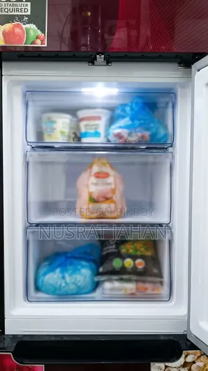 Singer Fridge