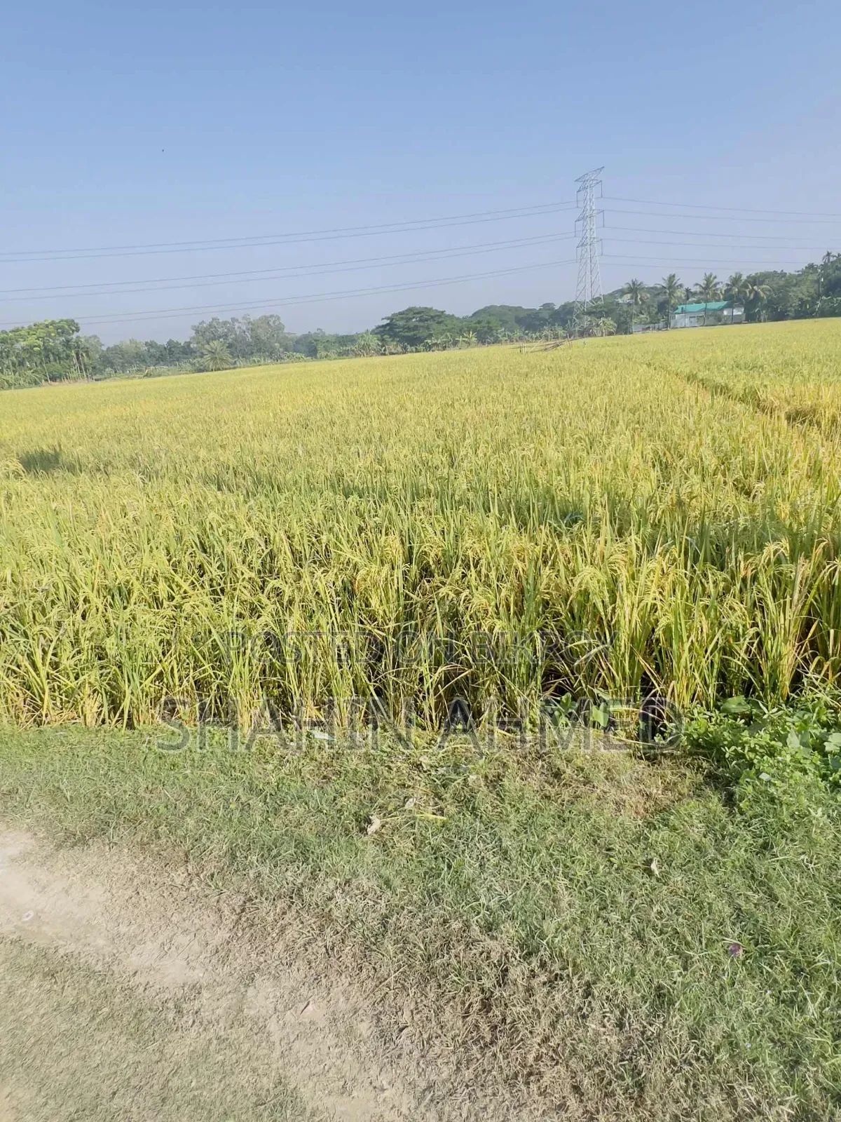 The land is for sale, interested parties please contact this number soon