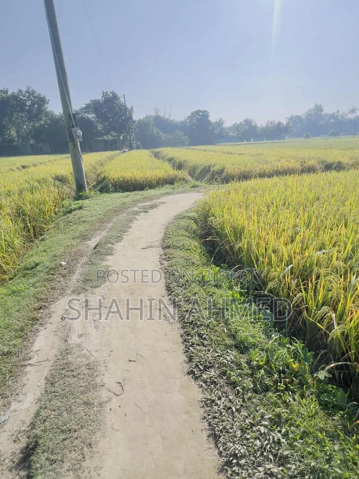 The land is for sale, interested parties please contact this number soon