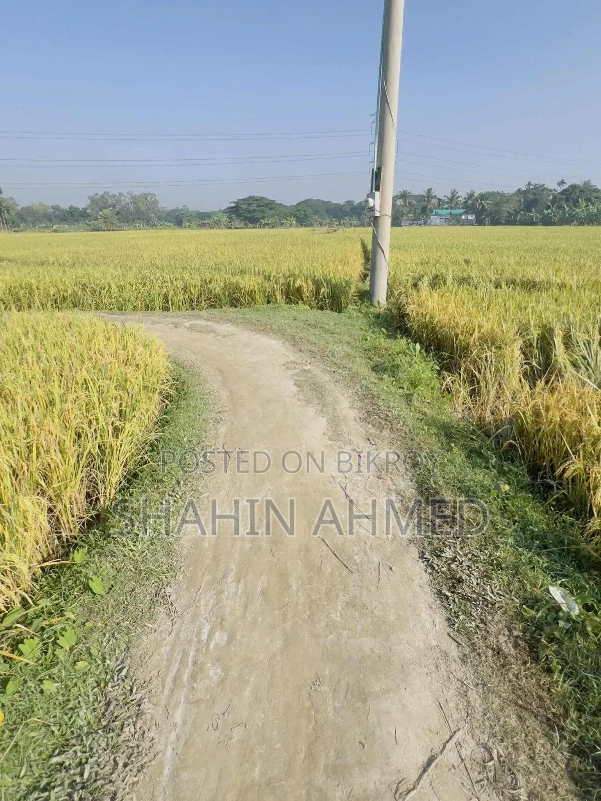 The land is for sale, interested parties please contact this number soon