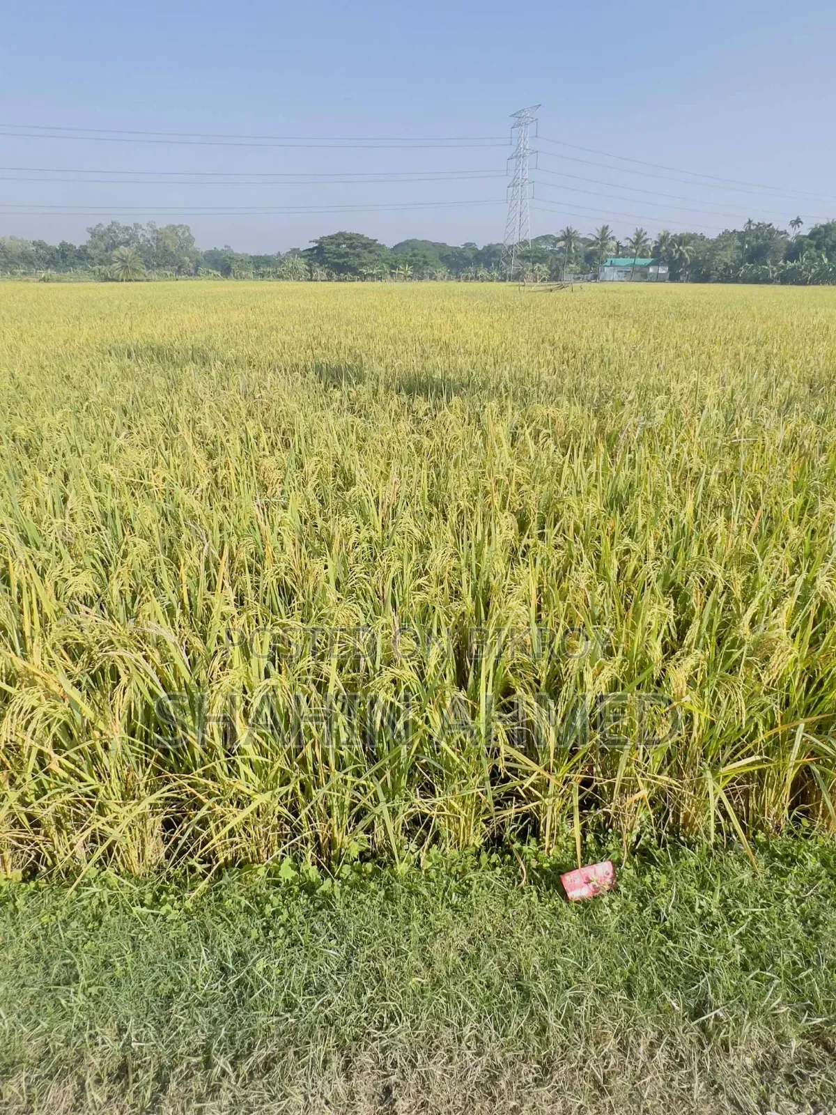 The land is for sale, interested parties please contact this number soon