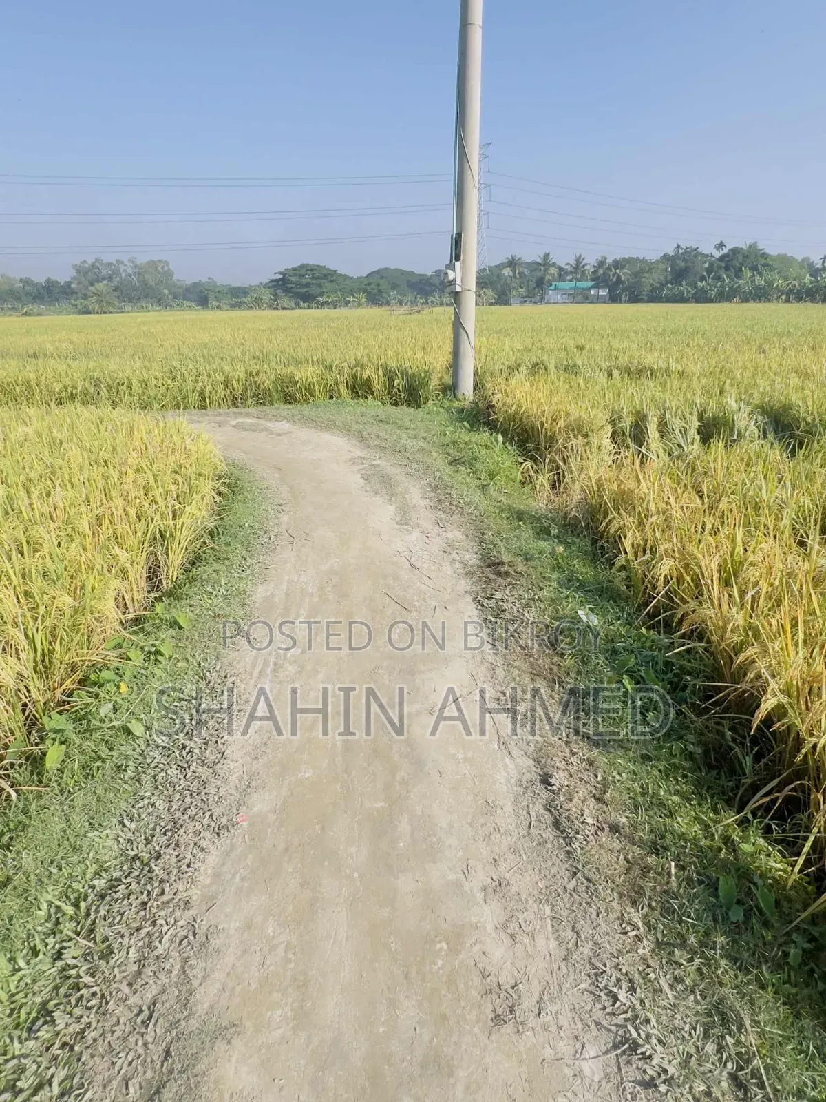 The land is for sale, interested parties please contact this number soon
