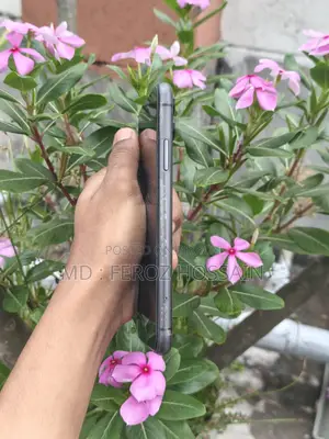 Apple iPhone 11 128 GB Black