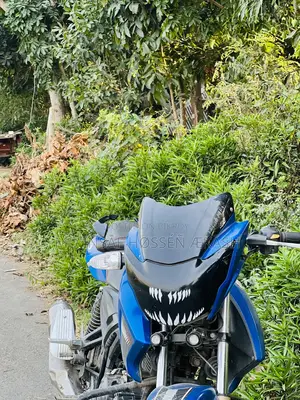 টিভিএস অ্যাপাচি আরটিআর ১৬০ ২ভি ২০২০ নীল