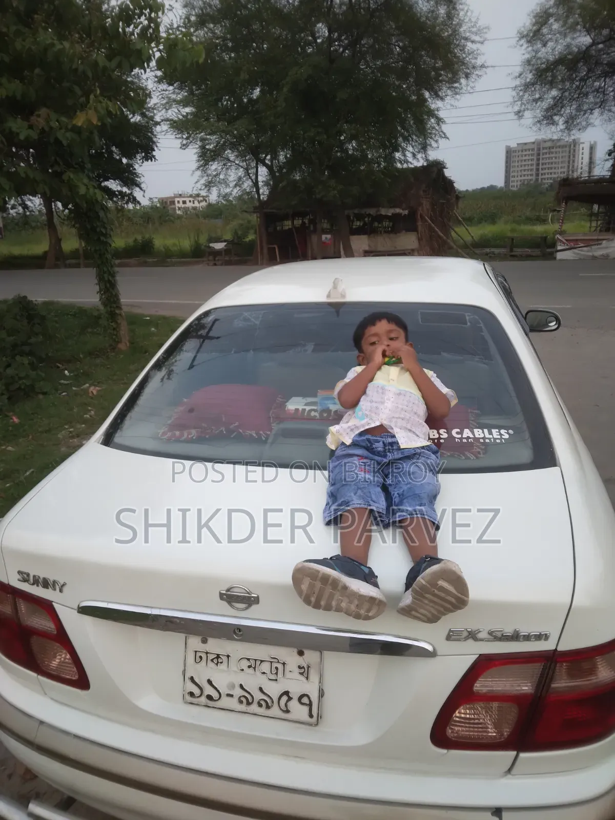 নিশান সানি ২০০৩ পার্ল