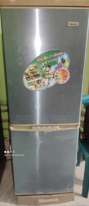 হিসেন্স ২৪০ লিটার রেফ্রিজারেটর