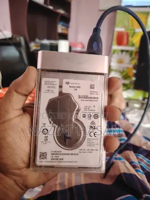 1 TB Portable HDD