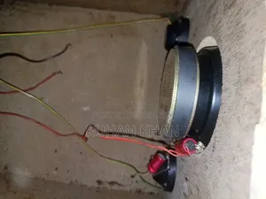 12-Inch Sound Box