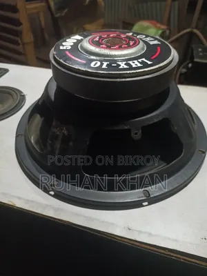 12-Inch Sound Box
