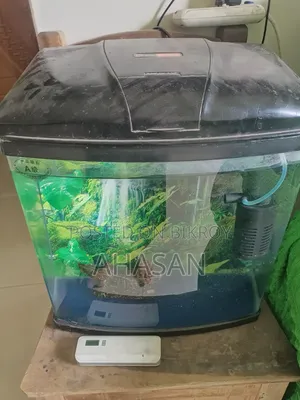 China Aquarium with Top Filter