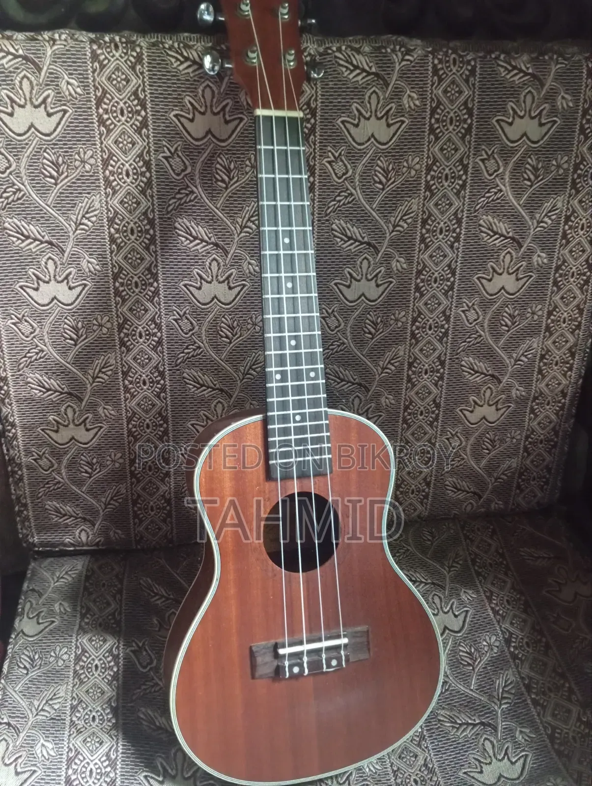 Ukelele (Concert)