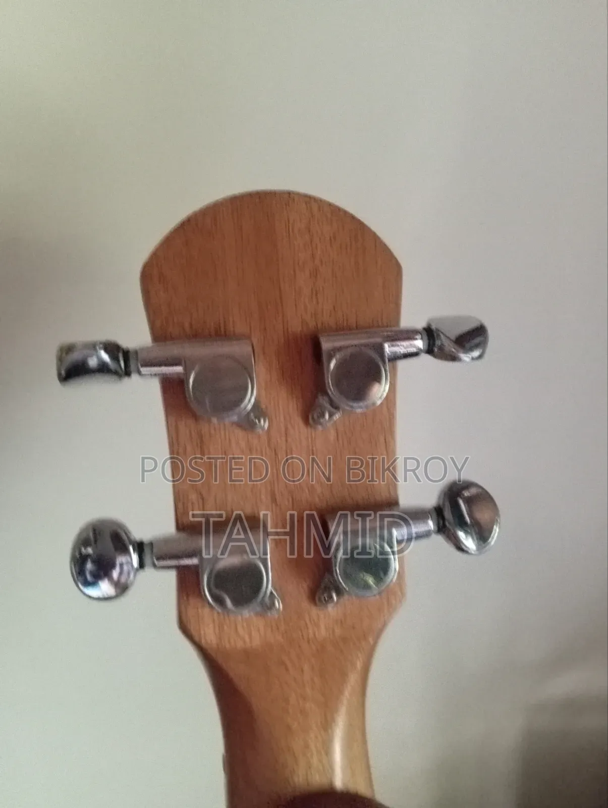 Ukelele (Concert)
