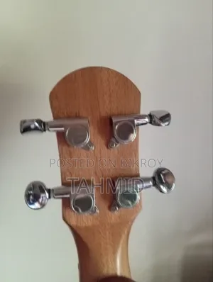 Ukelele (Concert)