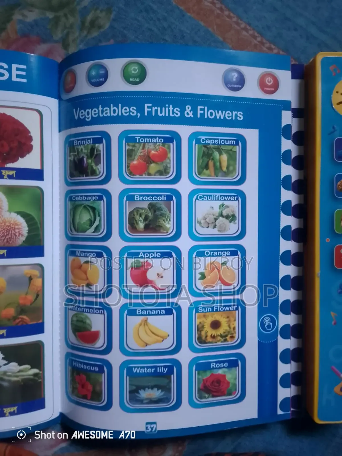 Magic Book for Kids
