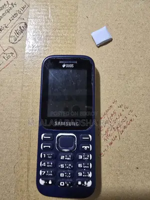 স্যামসাং গুরু মিউজিক ২ ব্লু