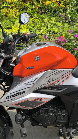 Suzuki 2024 Orange