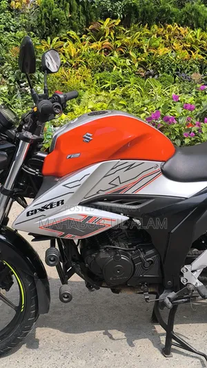 Suzuki 2024 Orange