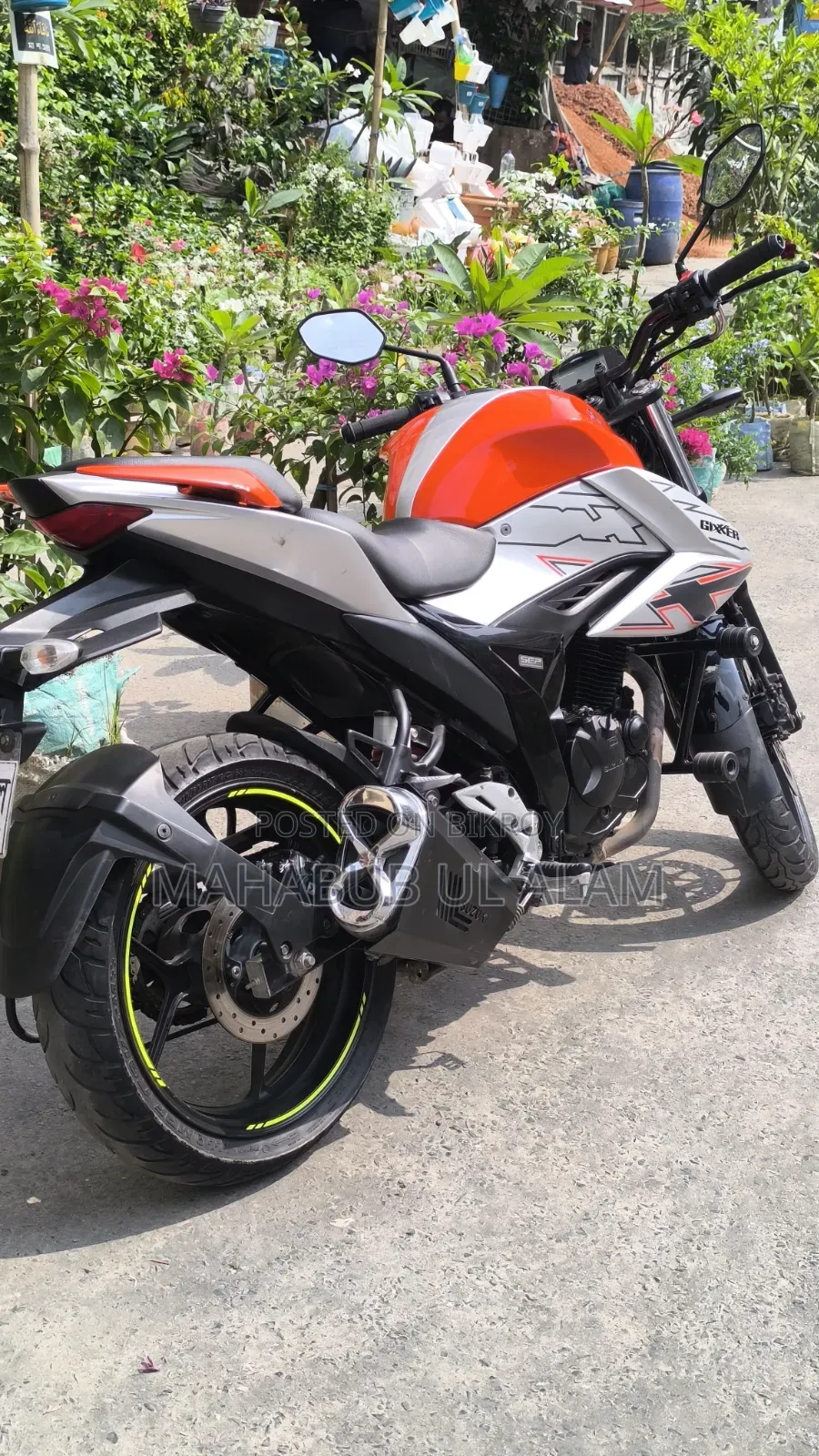 Suzuki 2024 Orange