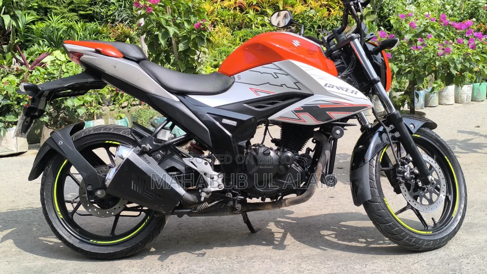 Suzuki 2024 Orange