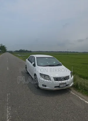 Toyota Axio 1.5 X 4WD 2008 White