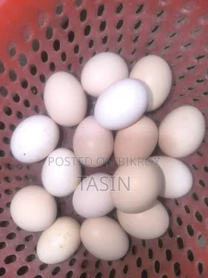১ হালি মুরগীর ডিম