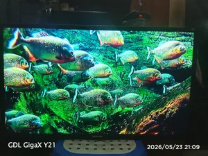 Led Smart TV